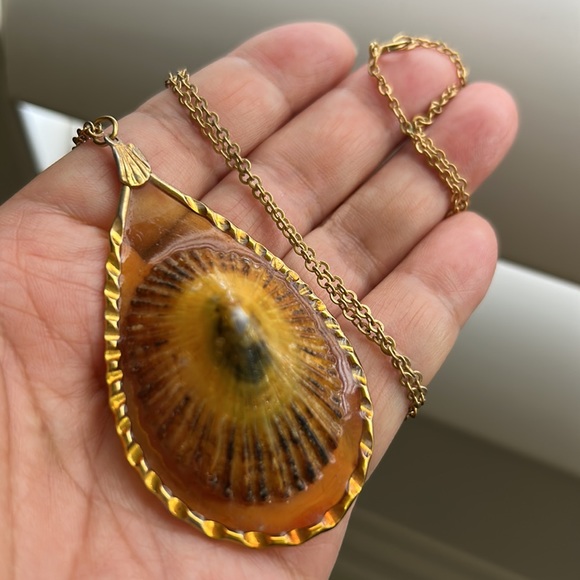 🖤Vtg Hawaiian Opihi shell pendant necklace - Picture 11 of 13